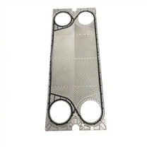 XGS18 プレートとガスケットの交換 500 ワード